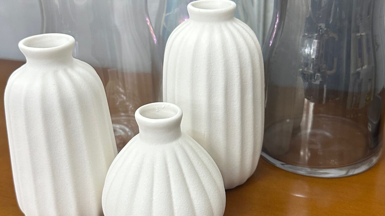 2023 07 23 zeperito wonderland 001