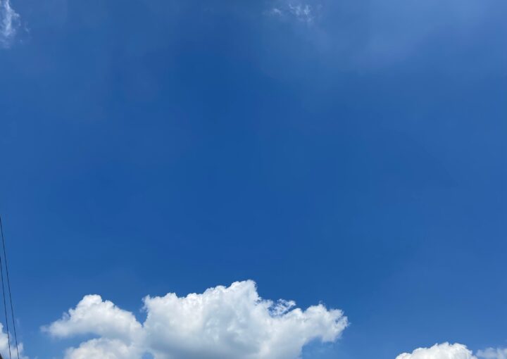 2023 08 05 zeperito wonderland 001