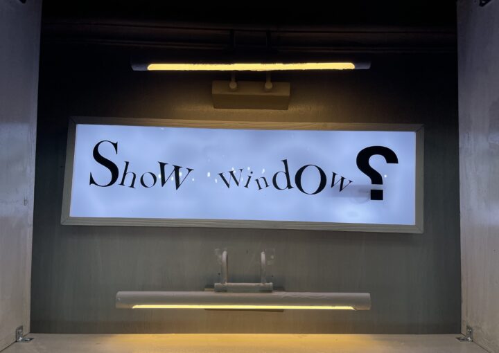 2023 08 06 zeperito wonderland