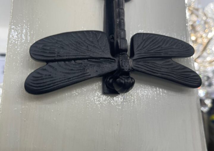 2023 08 10 zeperito wonderlnad