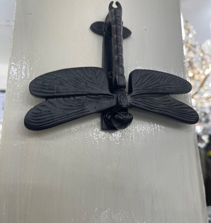 2023 08 10 zeperito wonderlnad