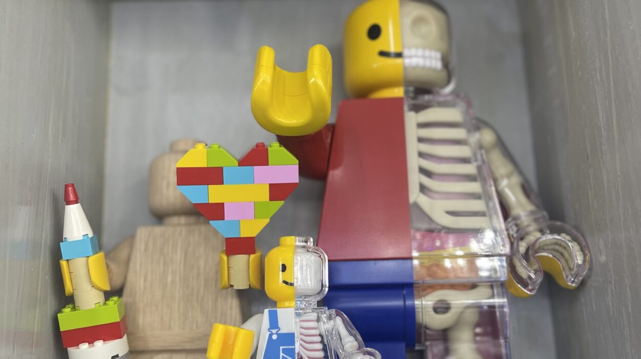 2023 08 31 zeperito wonderland