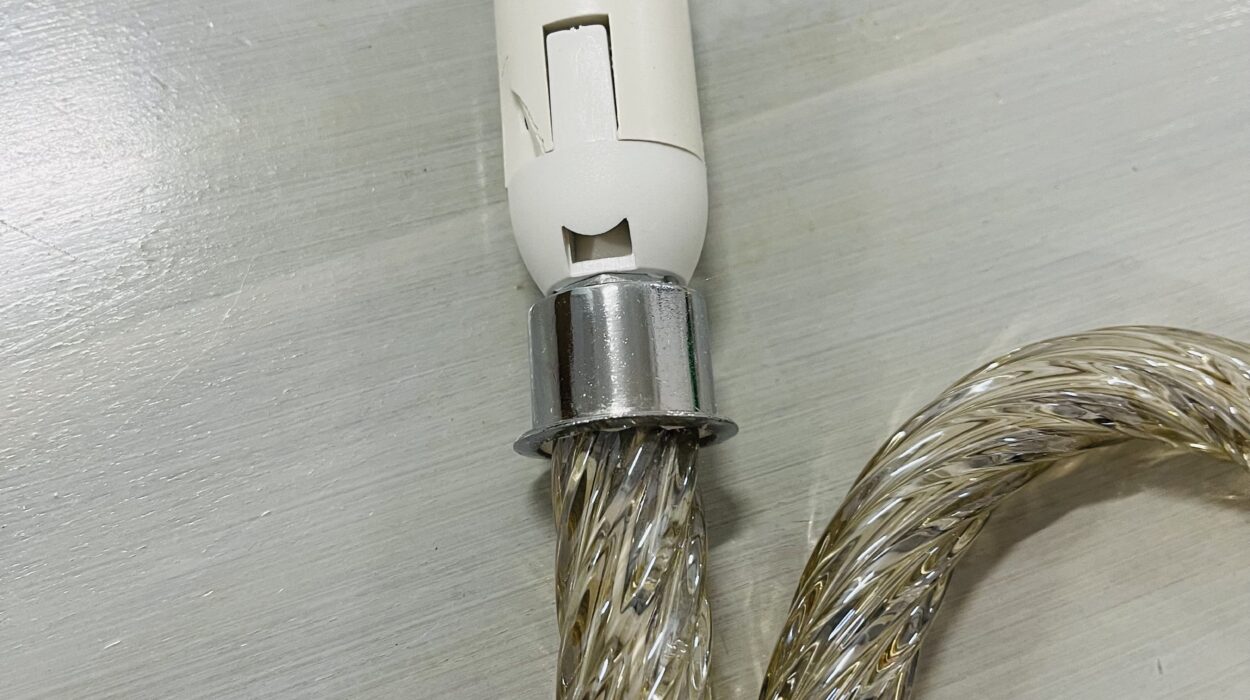 2021 07 10 zeperito wonderland