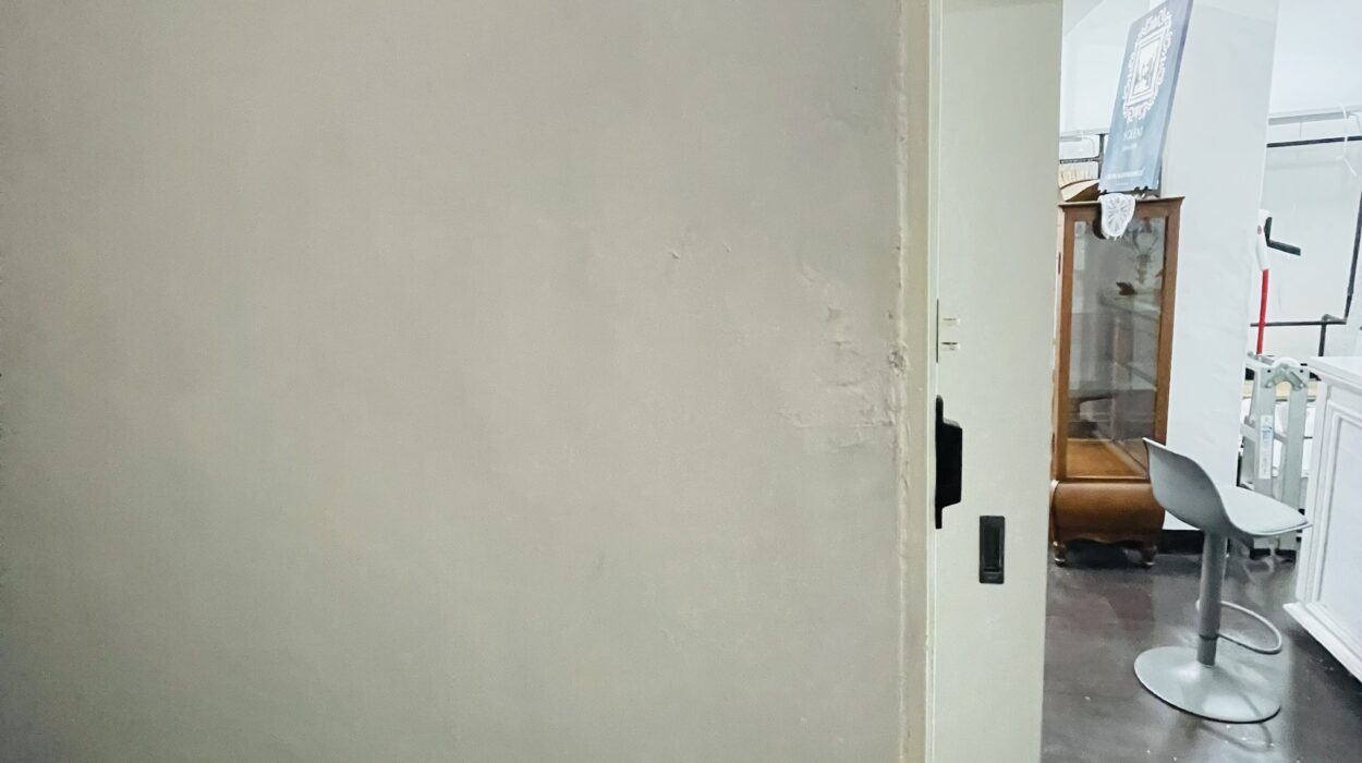 2021 07 03 zeperito wonderland