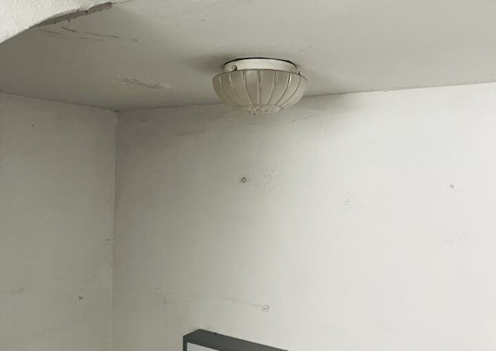 2021 07 11 zeperito wonderland