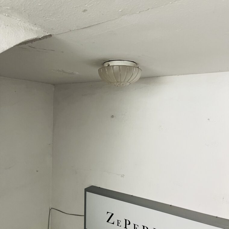 2021 07 11 zeperito wonderland