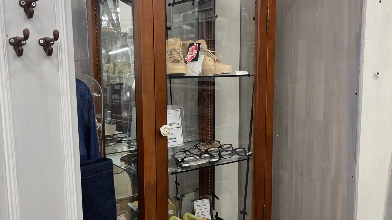 2023 09 04 zeperito wonderland