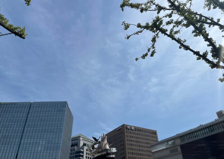 2023 09 23 zeperito wonderland