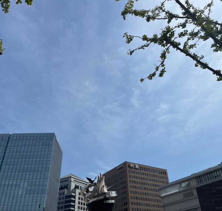 2023 09 23 zeperito wonderland