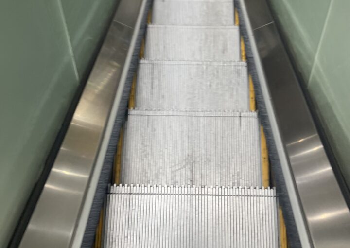 2023 09 09 zeperito wonderland