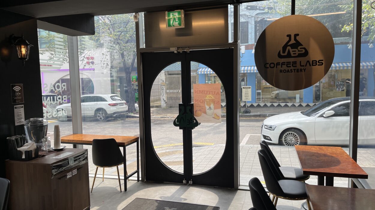 2023 09 10 zeperito wonderland