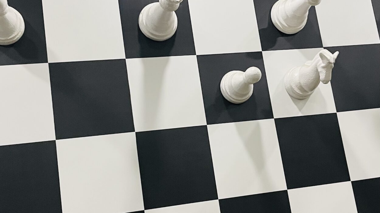 2023 09 16 zeperito wonderlnd