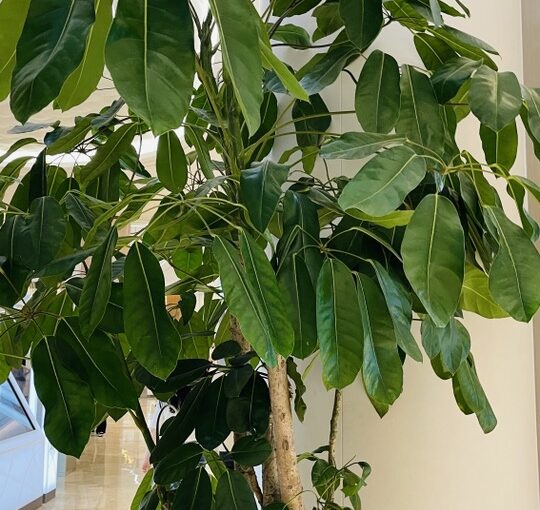 2023 09 30 zeperito wonderland