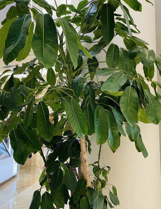 2023 09 30 zeperito wonderland