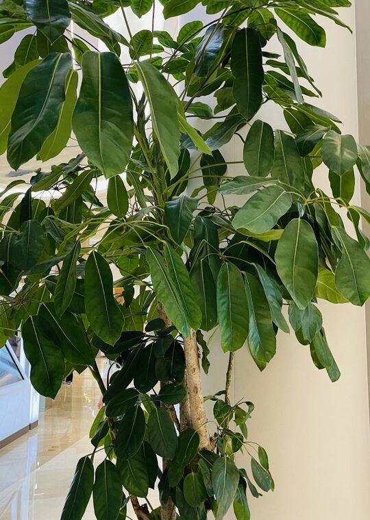 2023 09 30 zeperito wonderland