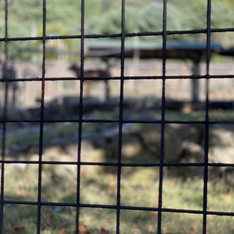 2023 10 01 zeperito wonderland