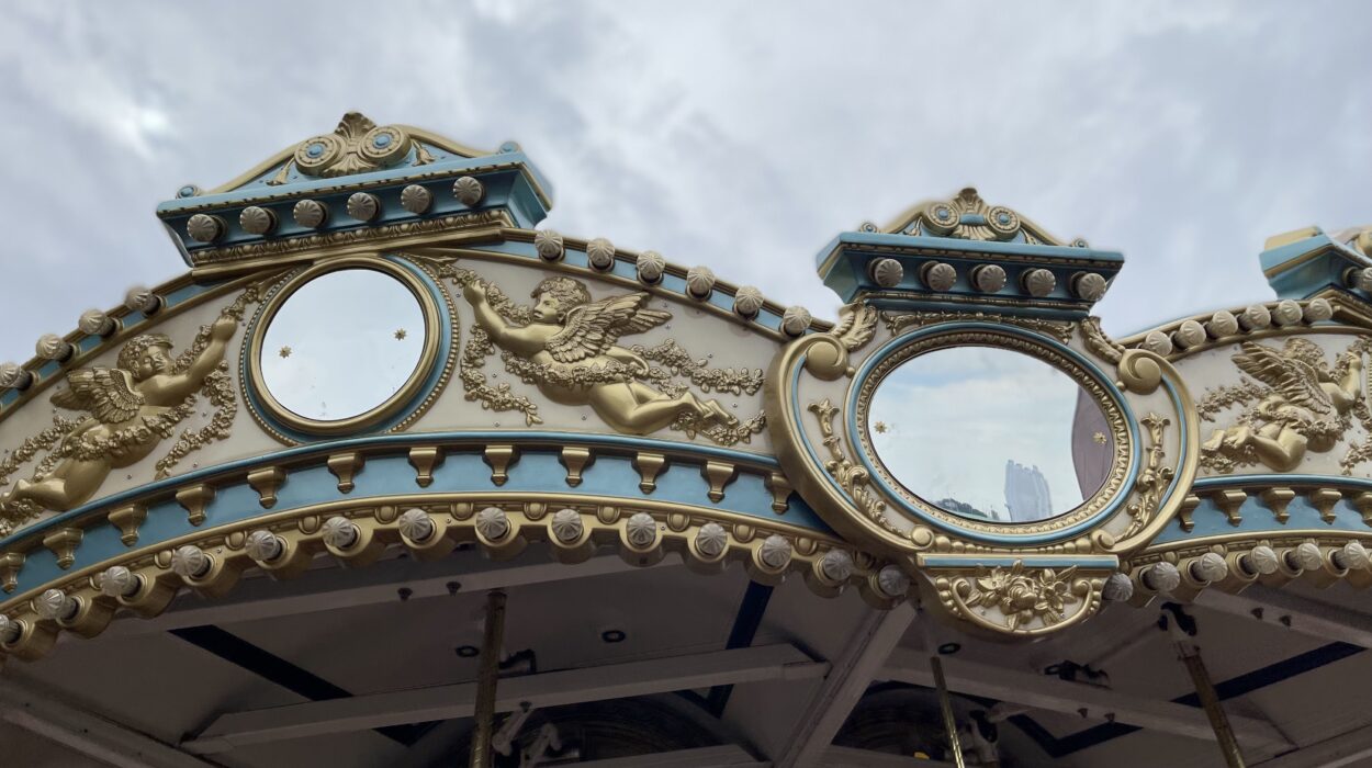 2023 10 03 zeperito wonderland