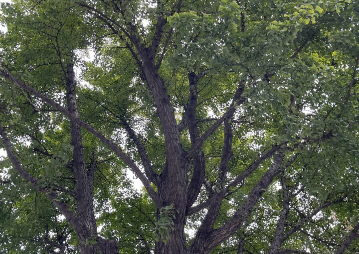 2023 10 07 zeperito wonderland