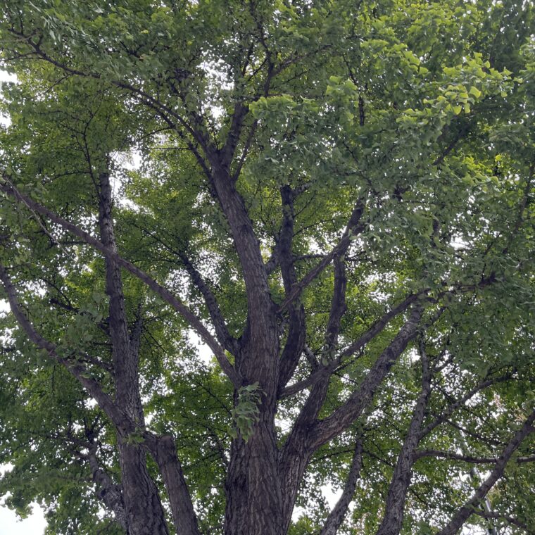 2023 10 07 zeperito wonderland