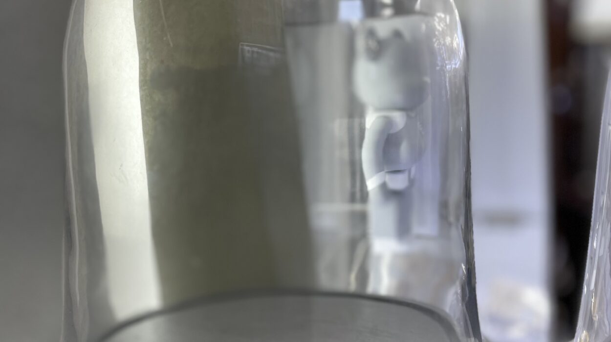 2023 10 17 zeperito wonderland