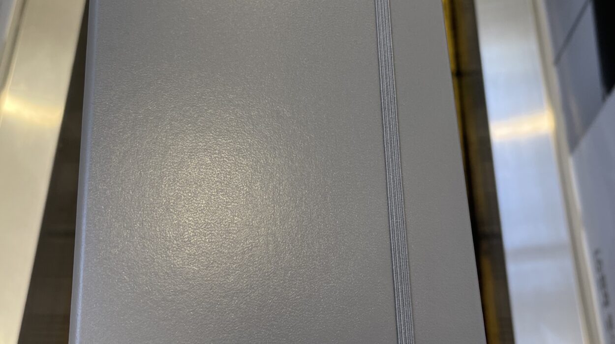 2023 10 21 zeperito wonderland