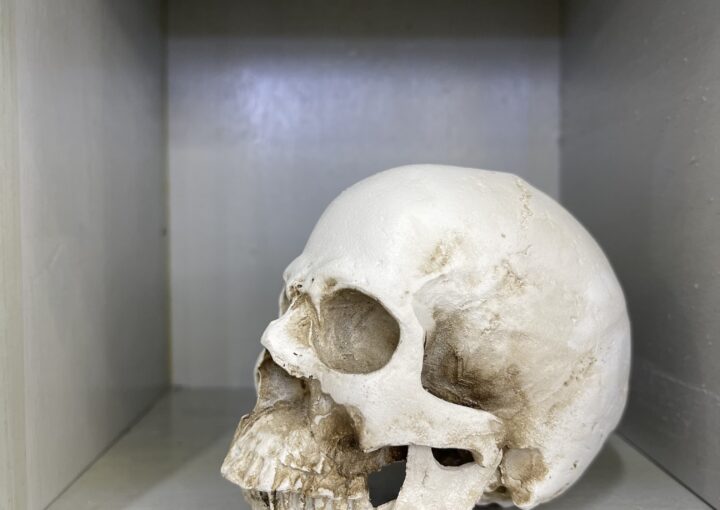 2023 10 23 Zeperito wonderland