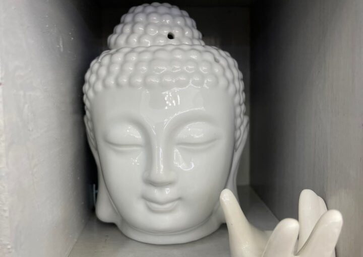 2023 10 27 zeperito wonderland