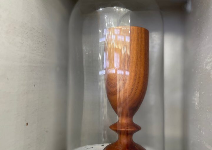 2023 10 30 Zeperito wonderland