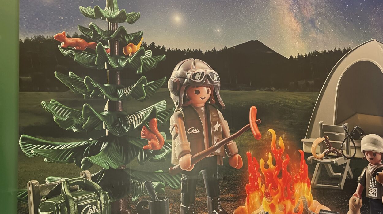 2023 10 22 zeperito wonderland