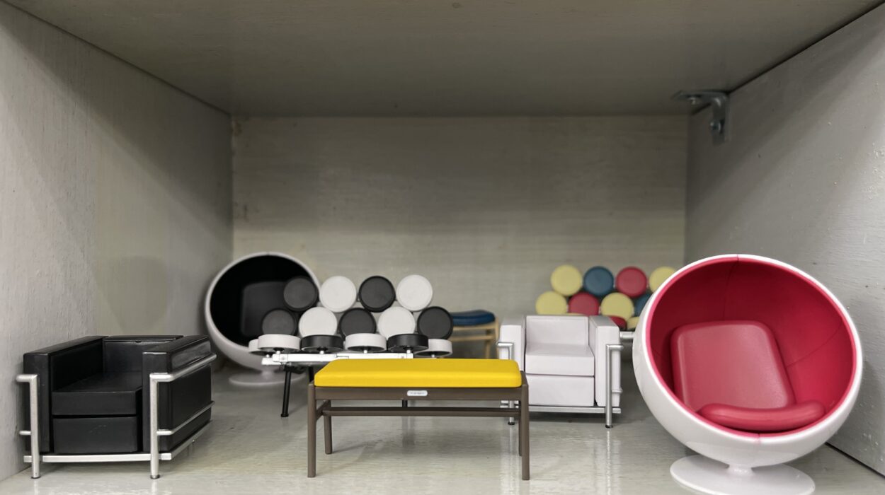 2023 10 26 Zeperito Wonderland