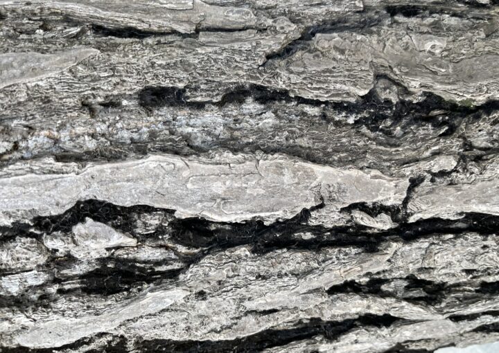 2023 10 28 Zeperito Wonderland