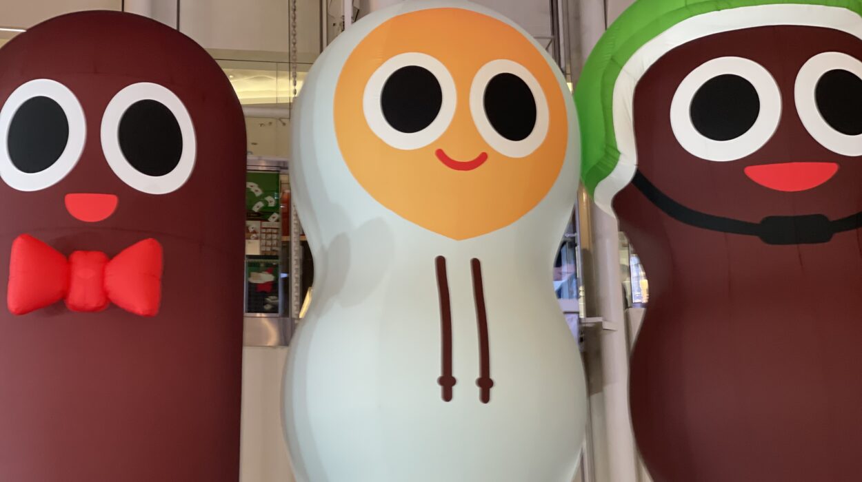 2023 11 11 zeperito wonderland