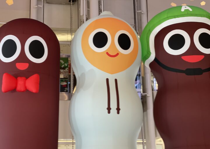 2023 11 11 zeperito wonderland