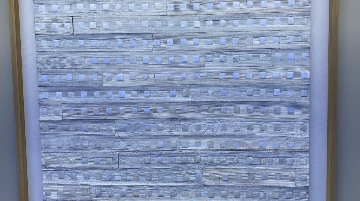 2023 11 12 zeperito wonderland