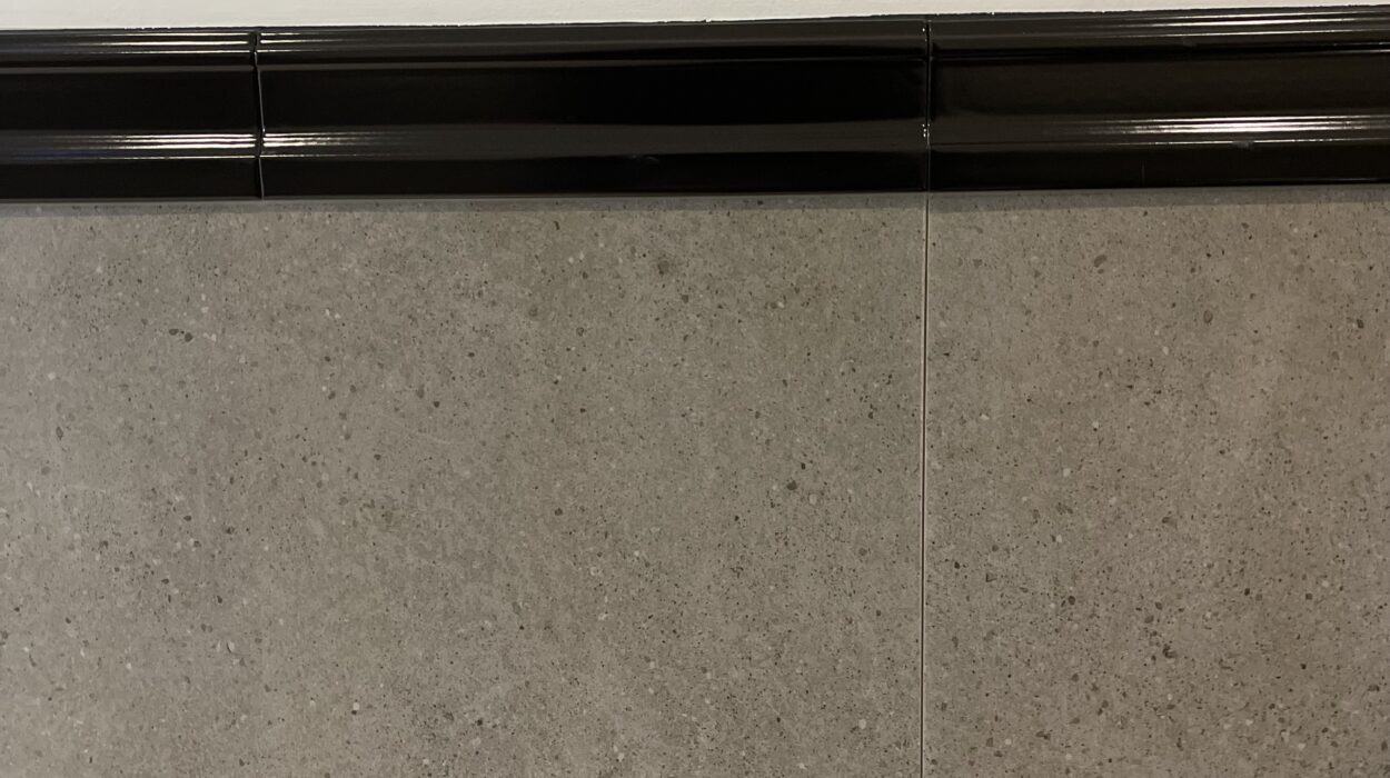 2023 11 19 Zeperito Wonderland