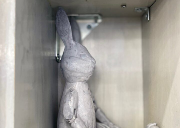 2023 11 20 Zeperito wonderland