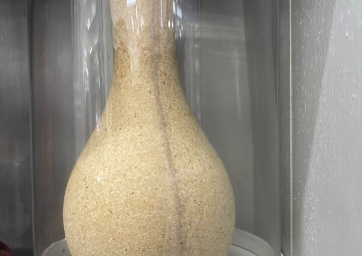 2023 11 28 zeperito wonderland