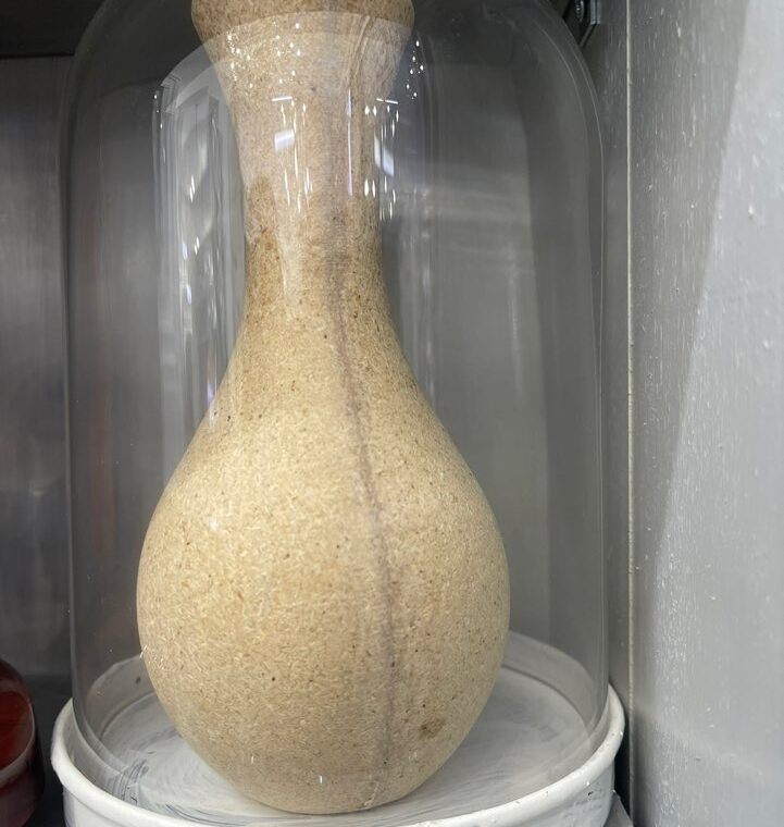 2023 11 28 zeperito wonderland