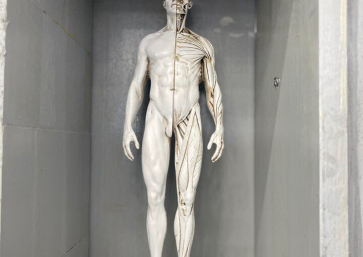 2023 11 29 zeperito wonderland