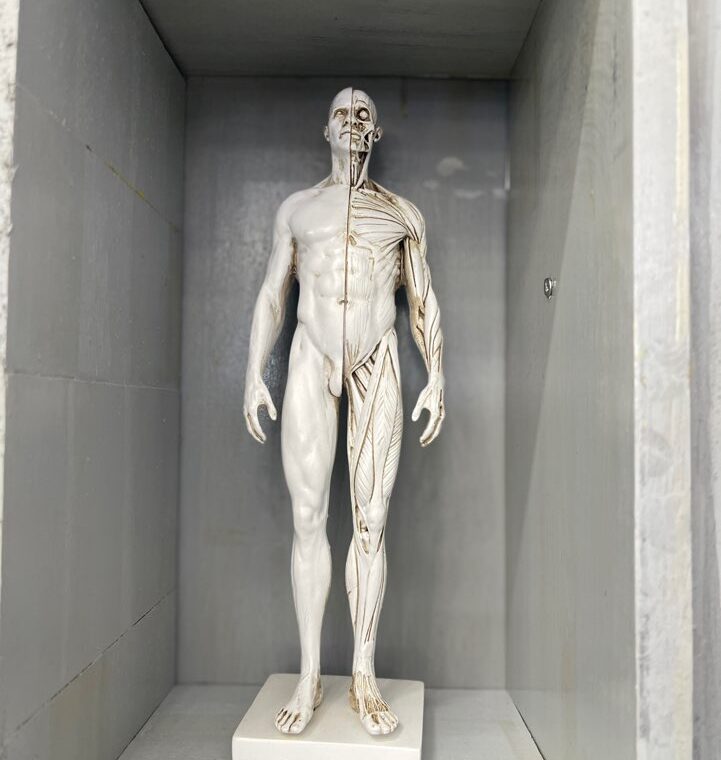 2023 11 29 zeperito wonderland