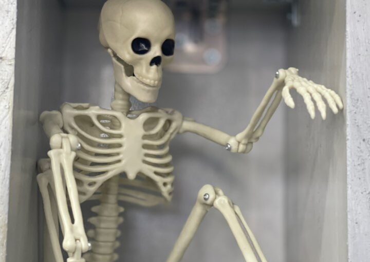 2023 11 30 zeperito wonderland