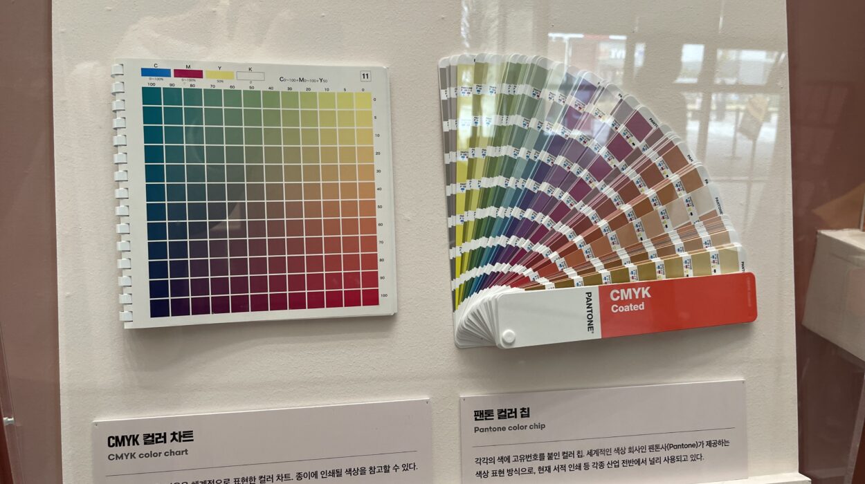 2023 11 05 zeperito wonderland