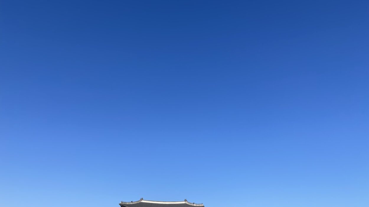 2023 11 25 Zeperito Wonderland