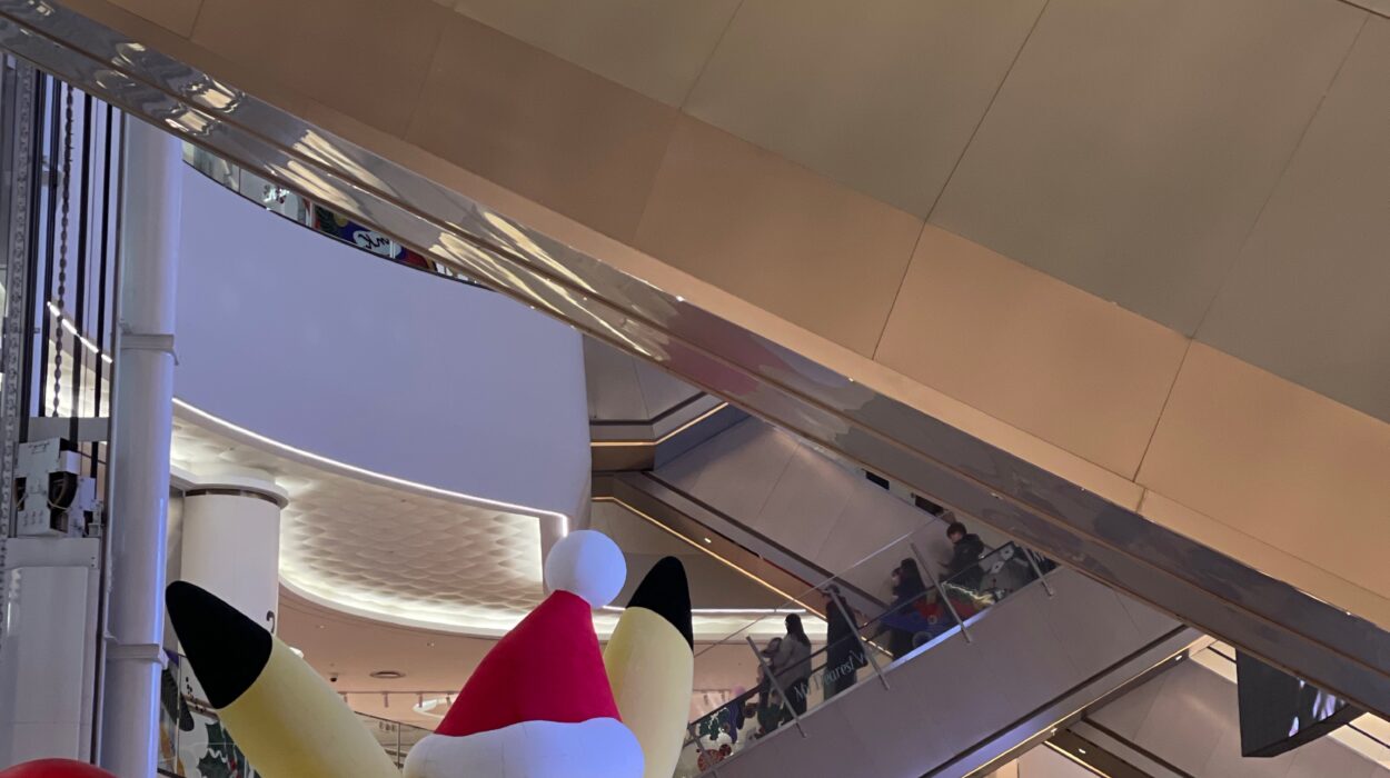 2023 12 17 zeperito wonderland