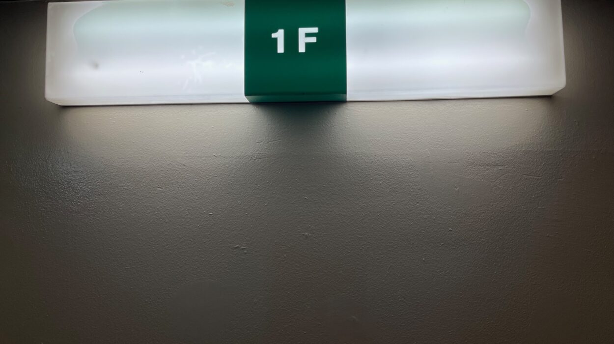 2023 12 25 zeperito wonderland