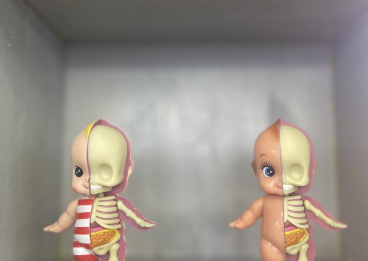 2024 01 03 Zeperito Wonderland