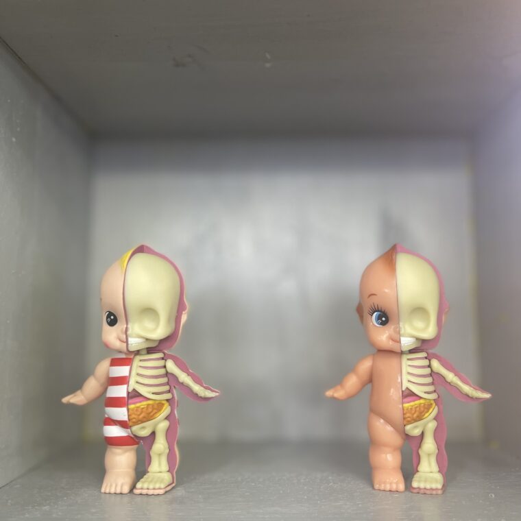 2024 01 03 Zeperito Wonderland