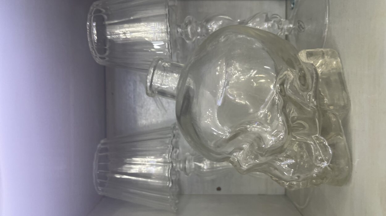 2023 12 27 zeperito wonderland