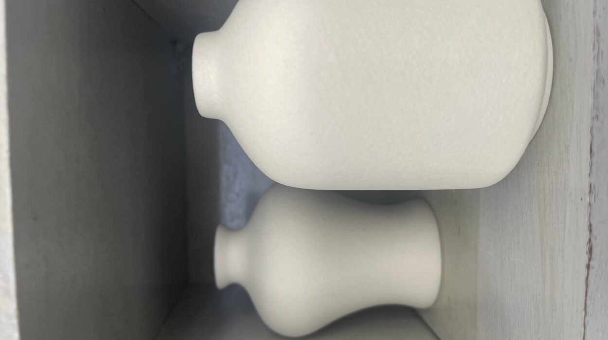 2023 12 26 Zeperito wonderland