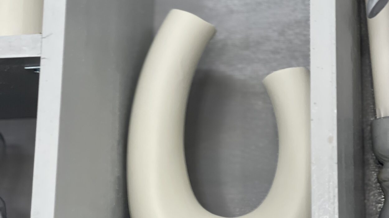 2023 12 16 zeperito wonderland